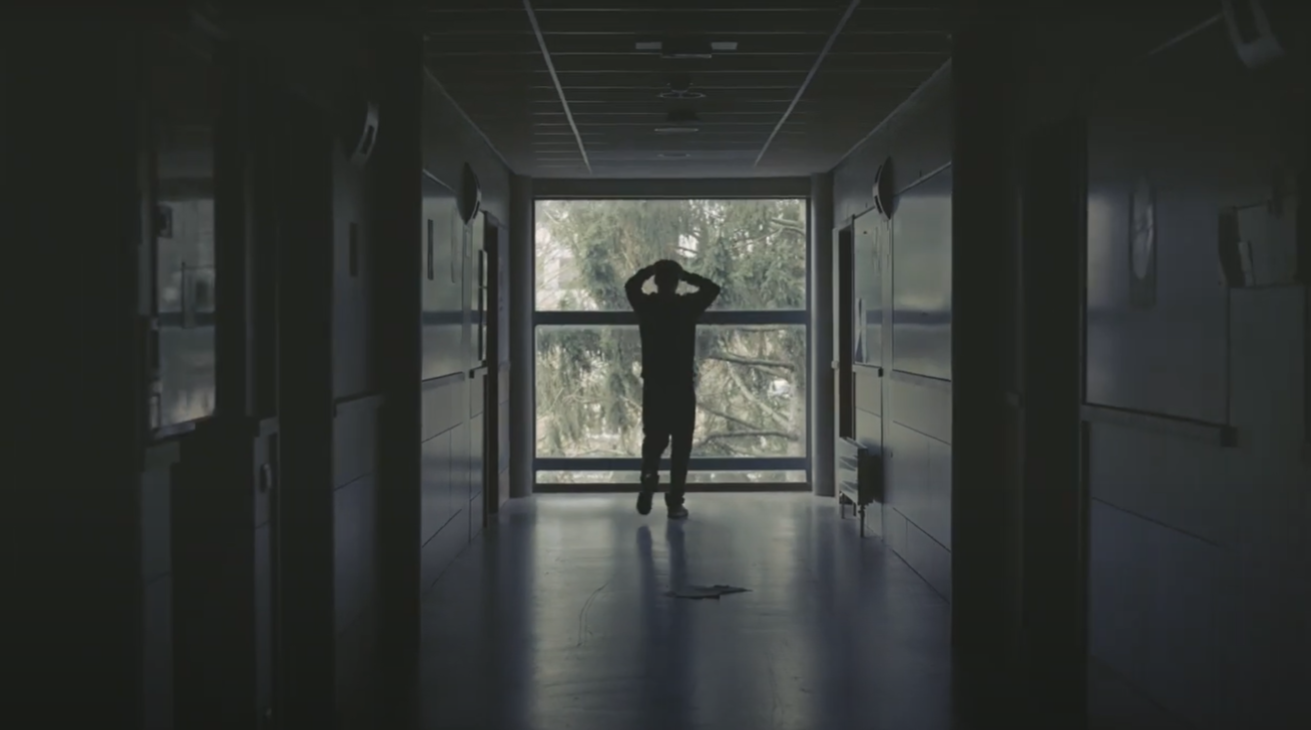 Incubation BEM-SAR_Video