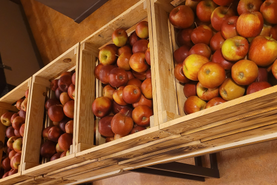 Conférence - Bien manger