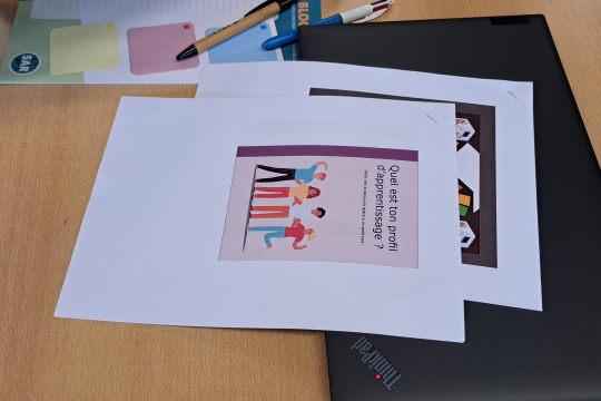 Incubation BEM-SARbis2