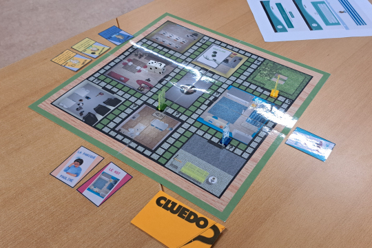 Incubation BEM-SARbis4