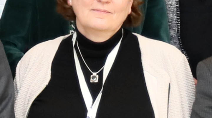 Sommet annuel